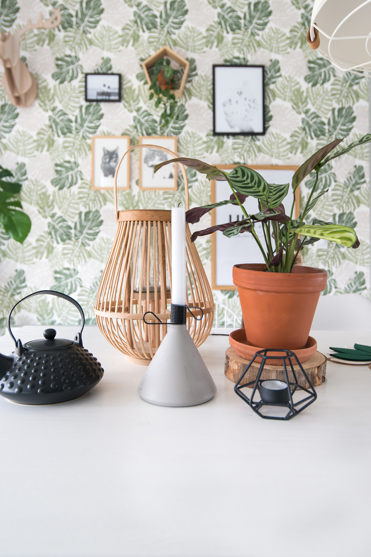 puikdesign conic kaarsenhouder candleholder betonlook concrete botanical wallpaper plants interior green