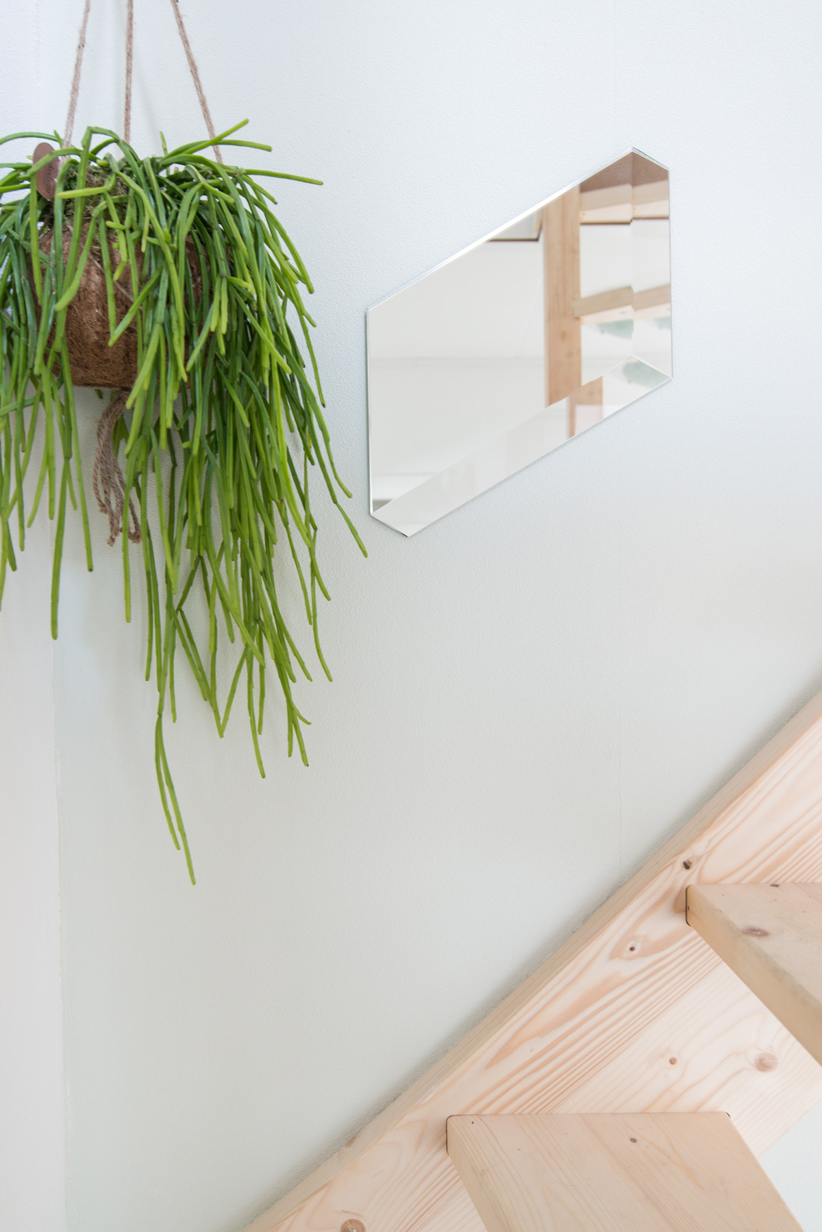 puikdesign facett spiegel mirror plants hangplant hallway