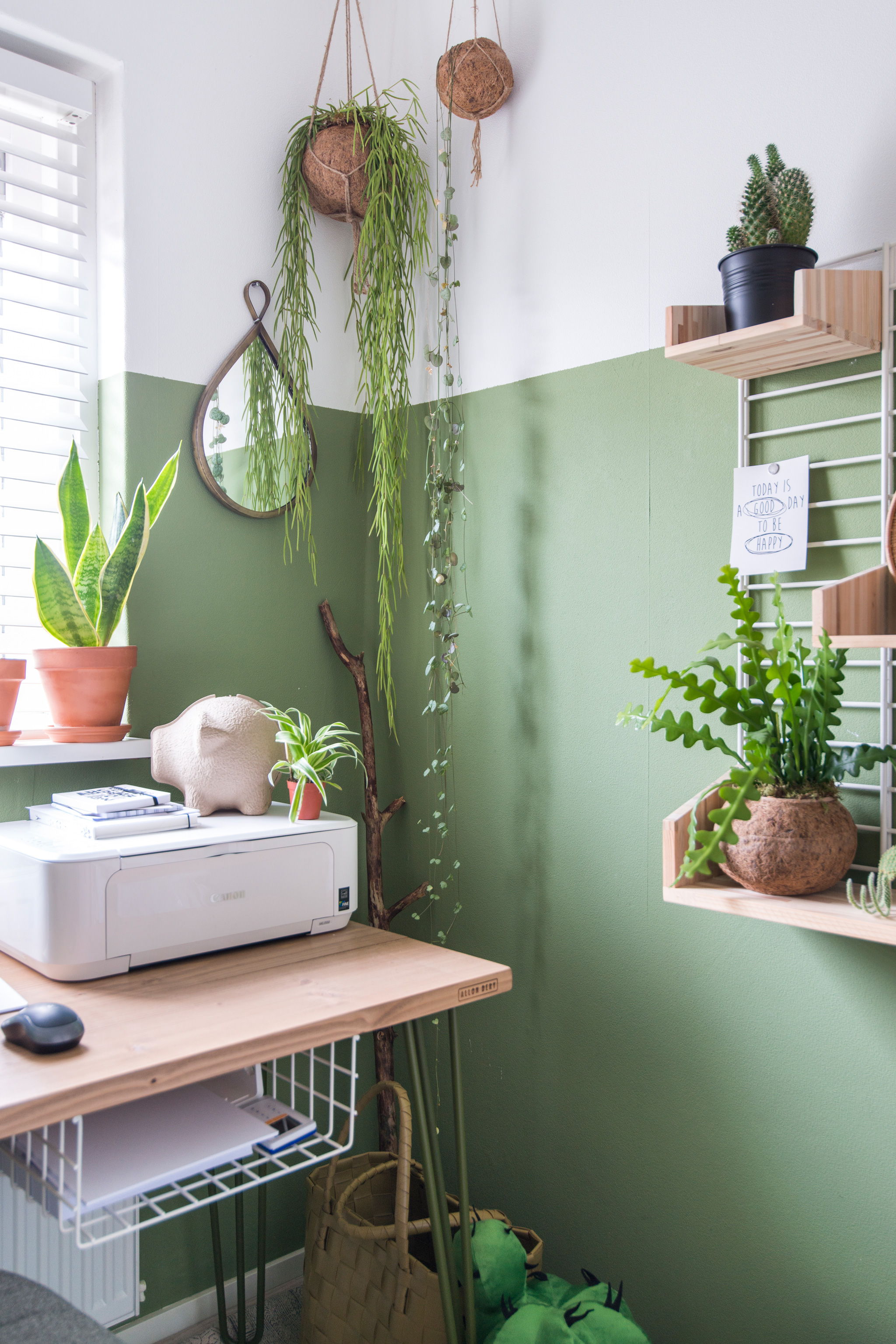 puik design tammy spaarpot moneysaver flexa color green interior homeoffice planten plants kokodama wonen